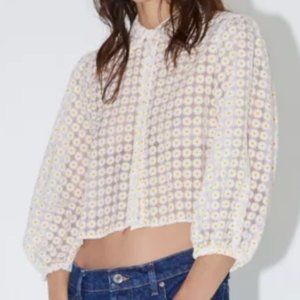 Zara 60's Style Daisy Sheer Top